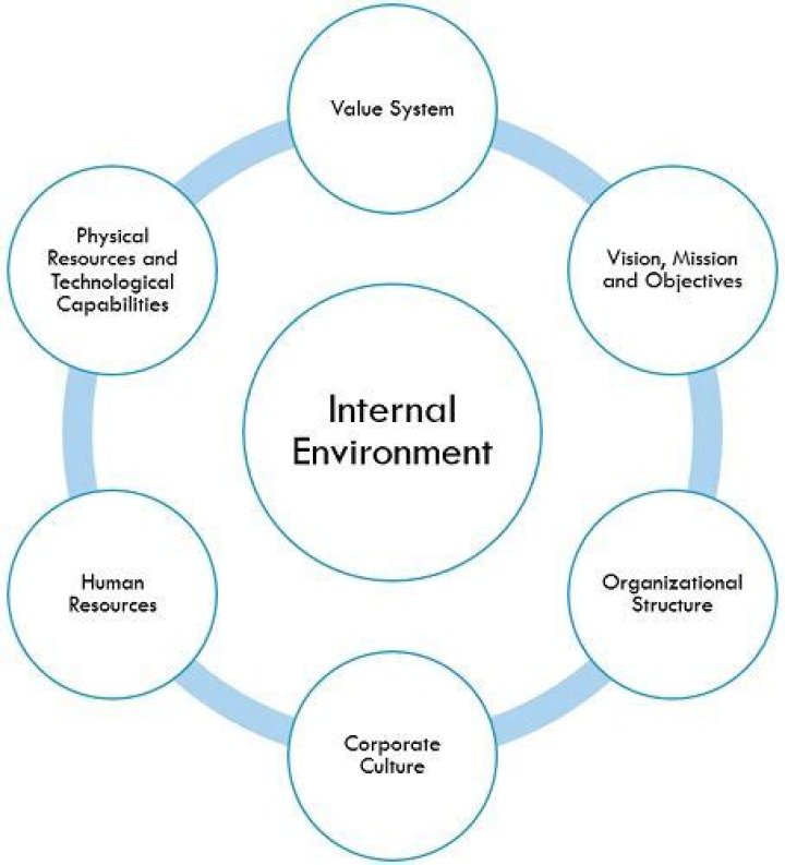 What is the definition of internal environment