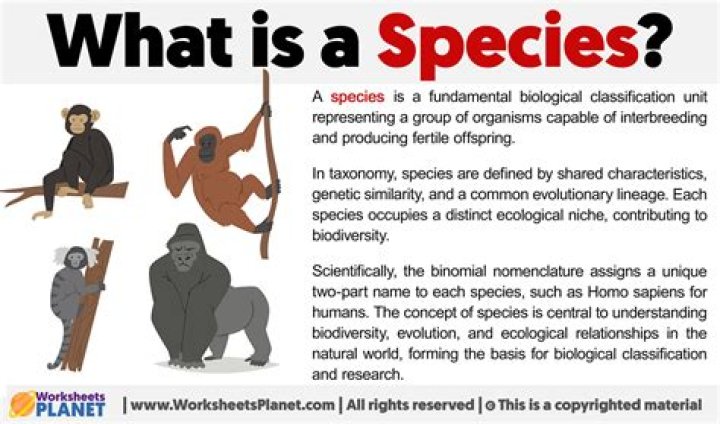 What is the definition of species for kids