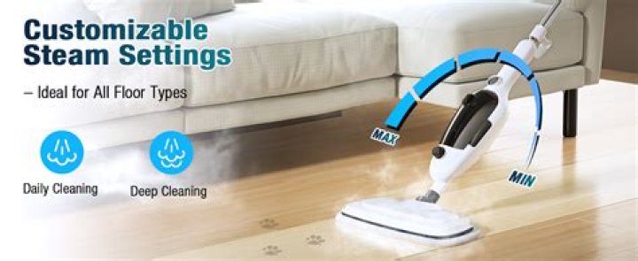 What is the difference between a steam mop and a steam cleaner