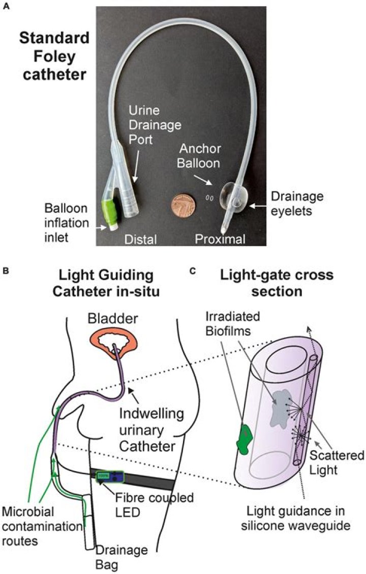 What is the difference between a straight catheter and an indwelling catheter