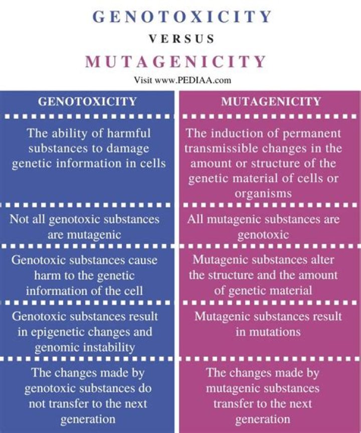 What is the difference between genotoxic and mutagenic