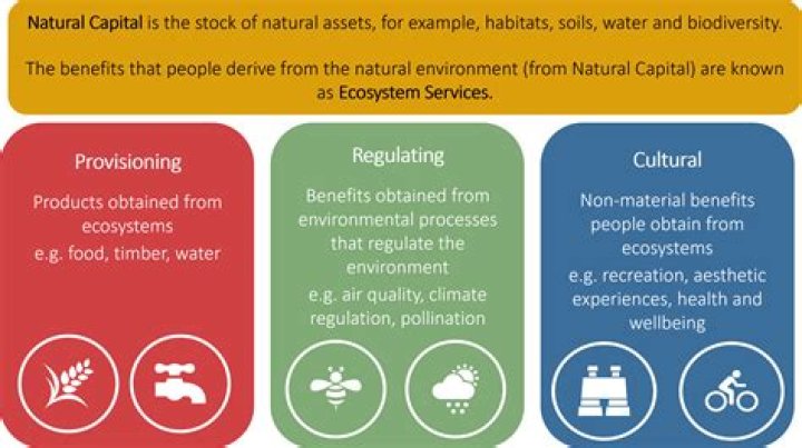 What is the difference between natural resources and natural capital