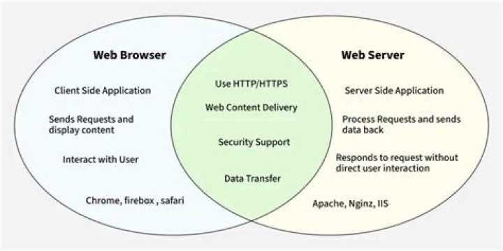 What is the difference between web browser and web server
