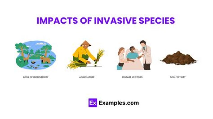 What is the impact of invasive species