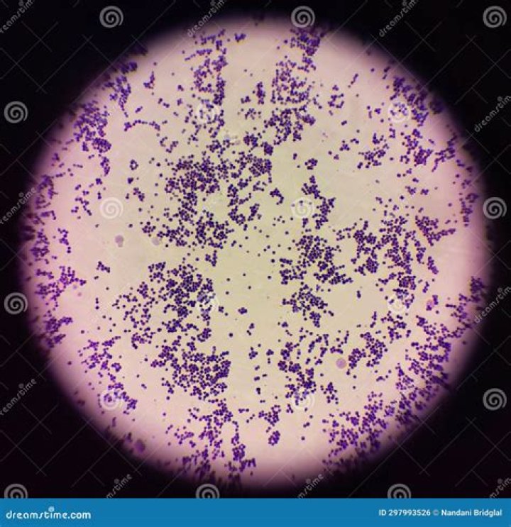What is the implicated illness of Staphylococcus aureus