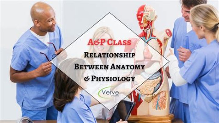 What is the key relationship between anatomy and physiology
