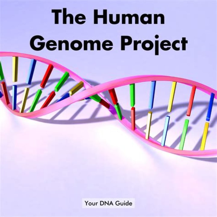What is the main goal of the Human Genome Project
