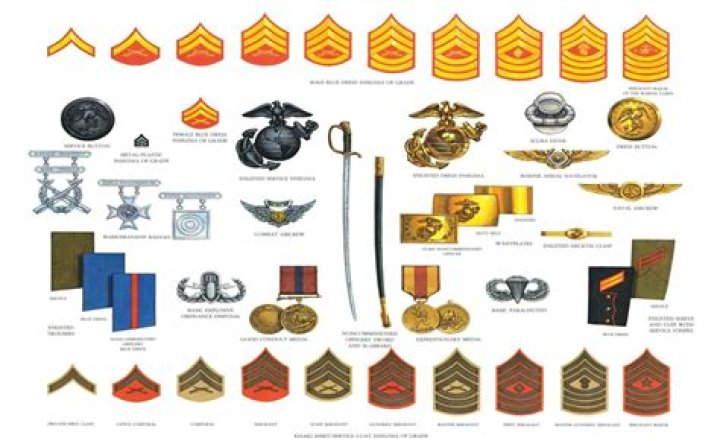 What is the Marine insignia called