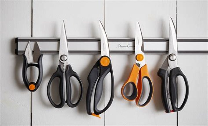What is the meaning of kitchen shears