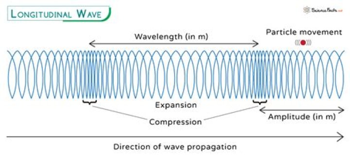 What is the medium in longitudinal waves