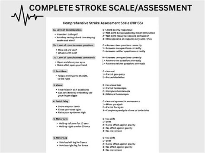What is the most common stroke assessment scale