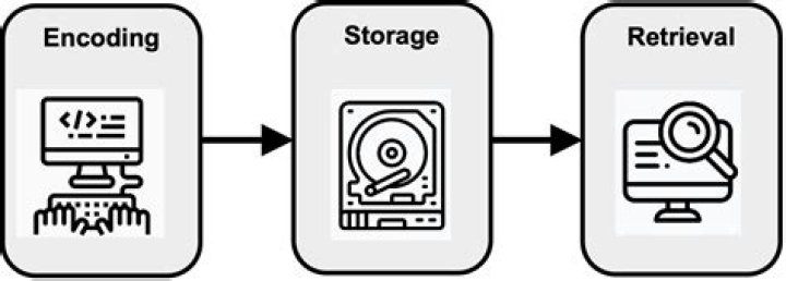 What is the purpose of storing and retrieving required information
