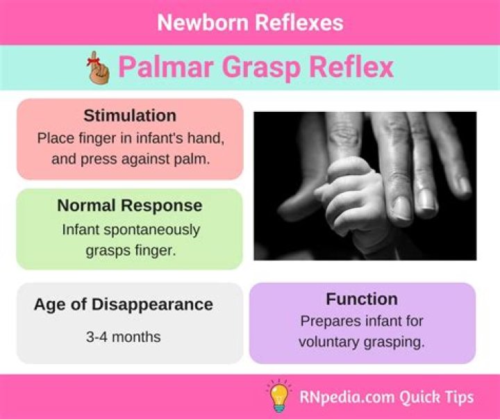 What is the purpose of the palmar grasp reflex