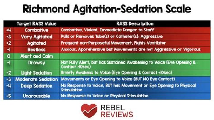 What is the Riker sedation agitation scale