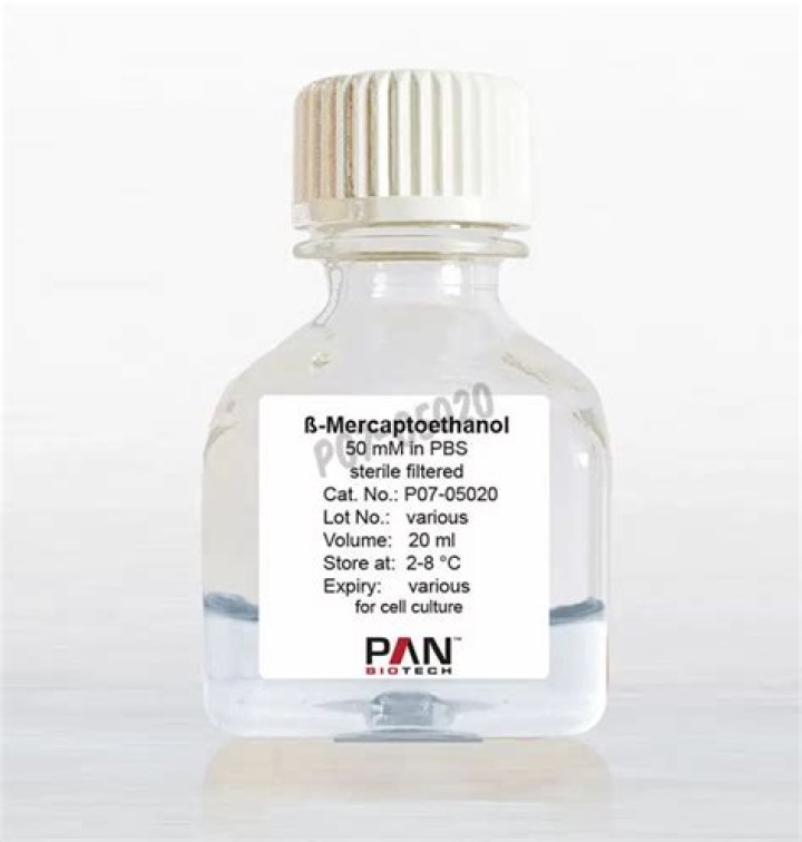 What is the role of beta mercaptoethanol in SDS PAGE