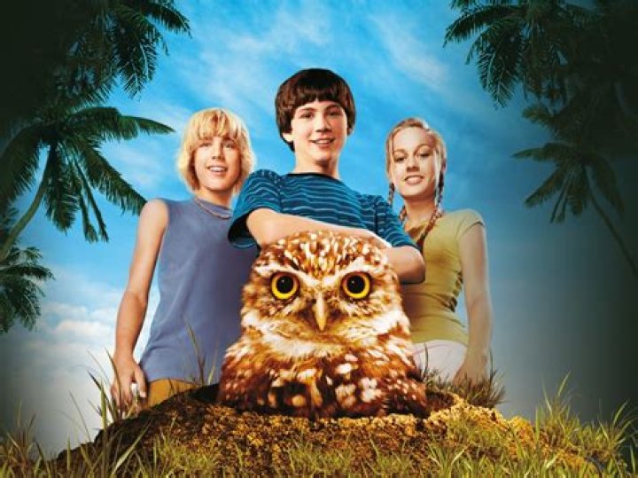 What is the setting of hoot