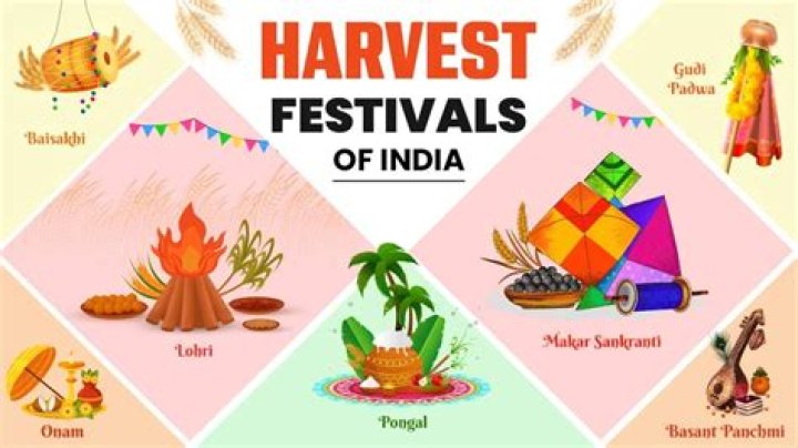 What is the significance of harvest