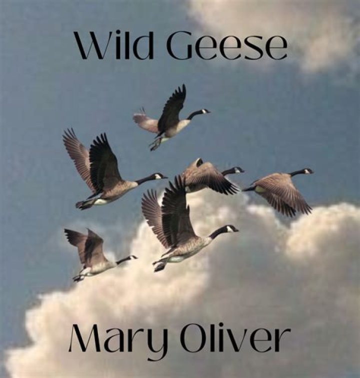 What is the tone of Wild Geese by Mary Oliver