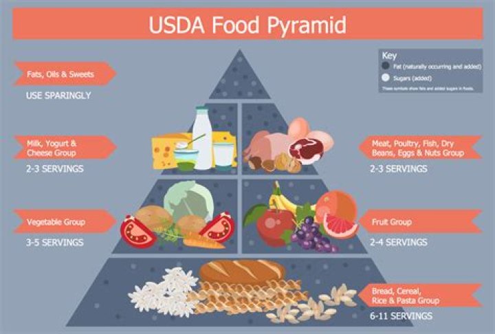 What is the USDA food pyramid