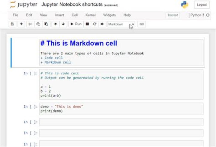 What is the use of Jupyter notebook in Python