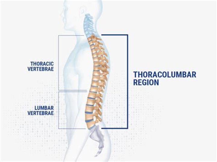 What is thoracolumbar back pain