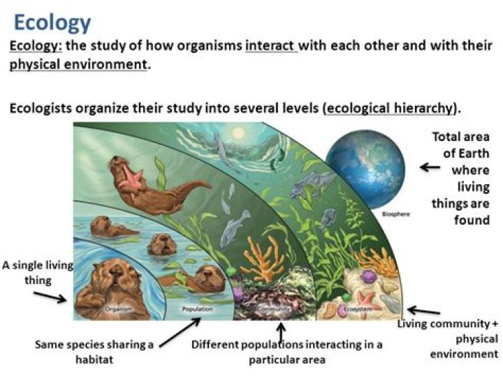 What kind of ecologist studies how organisms interact