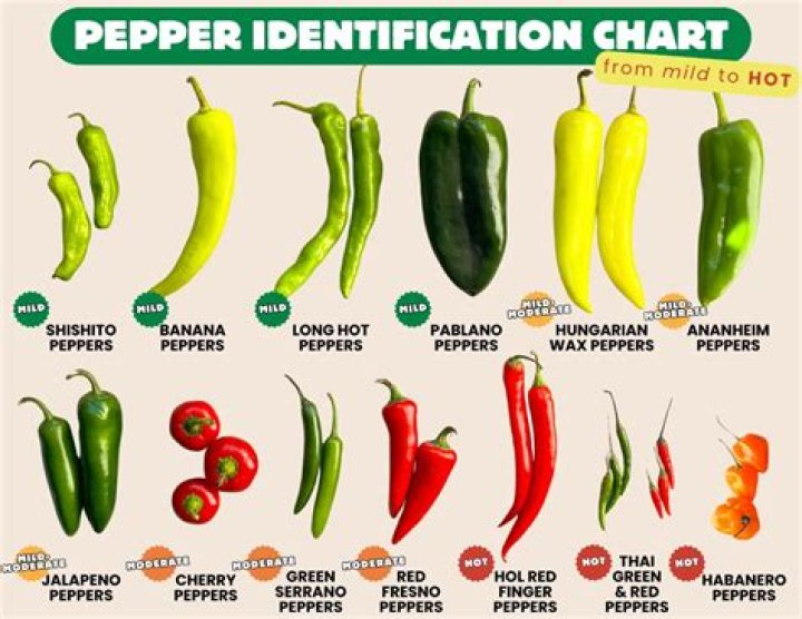 What kind of peppers are black