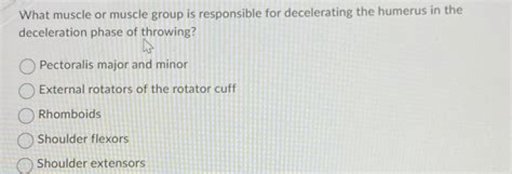 What muscle or muscle group is responsible for decelerating the humerus in the deceleration phase of throwing