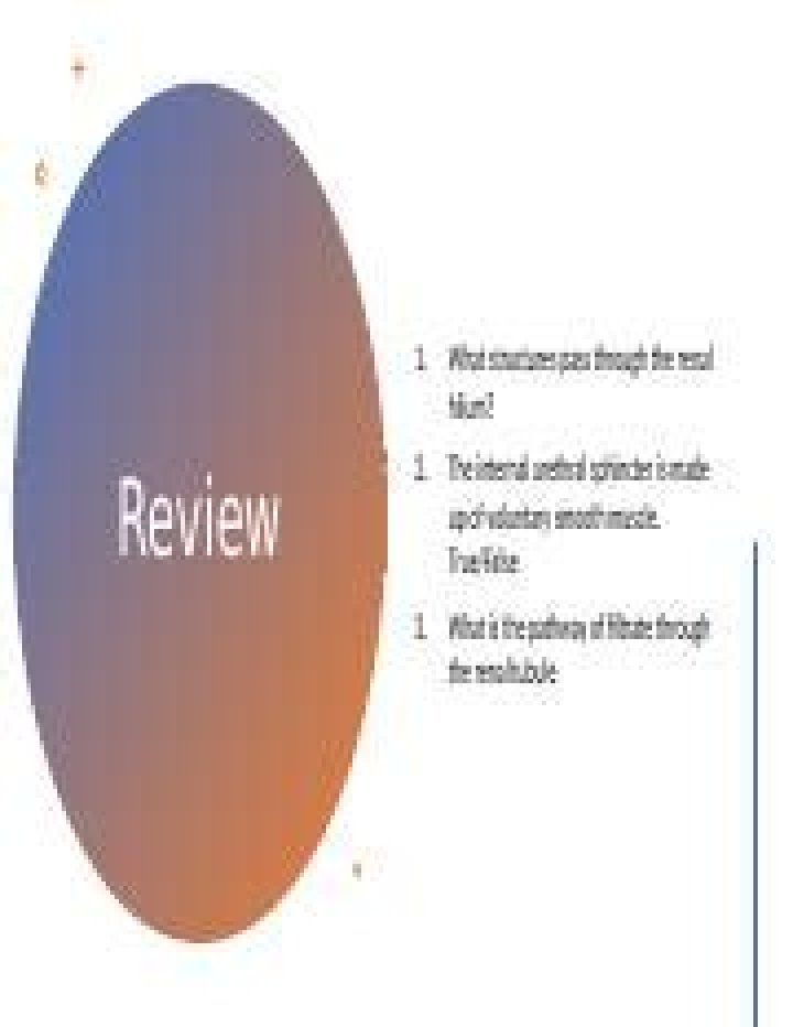 What passes through the renal hilum
