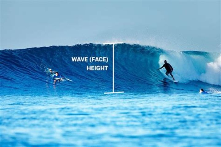 What size waves should a beginner surf