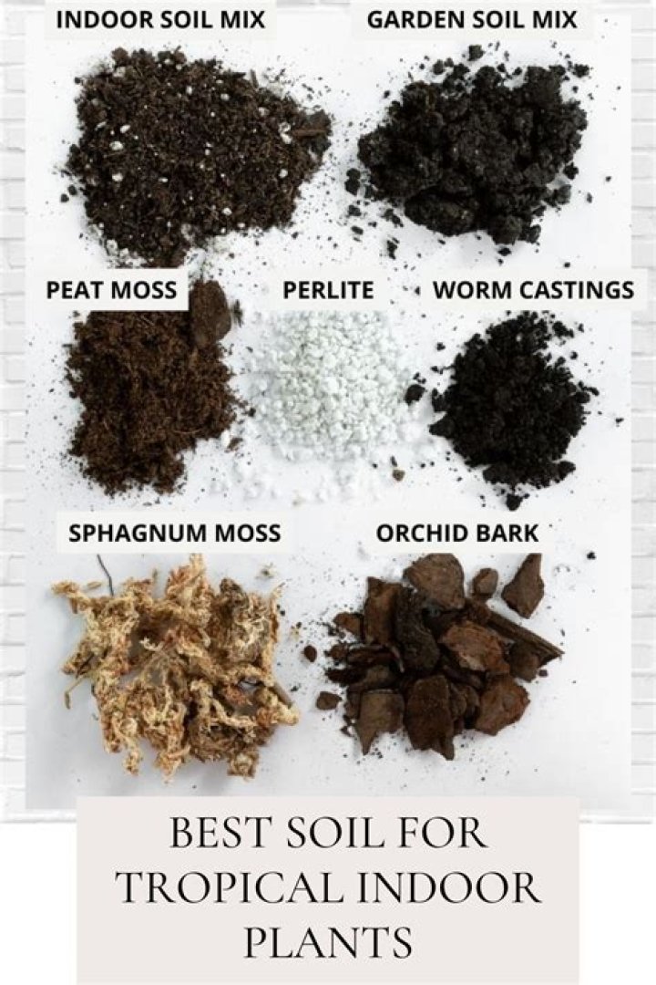 What soil is best for edibles