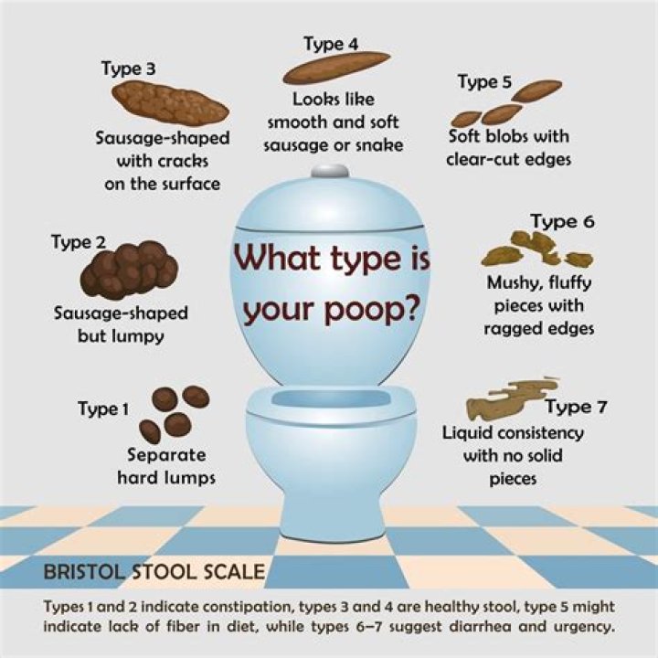 What songs help you poop