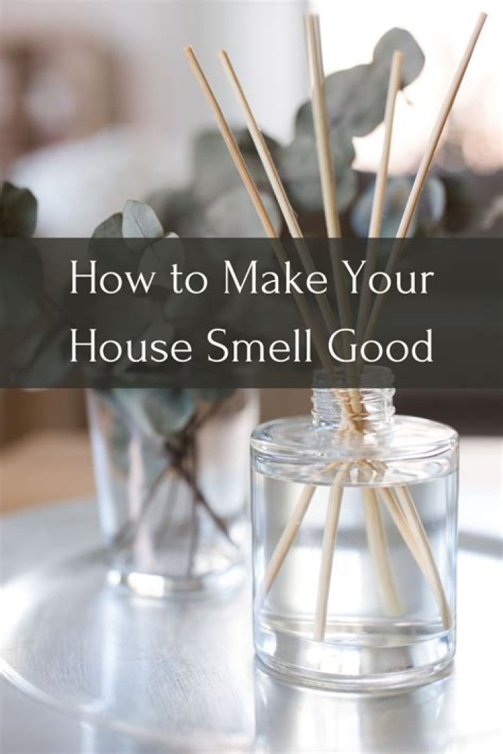 What spices can you boil to make your house smell good