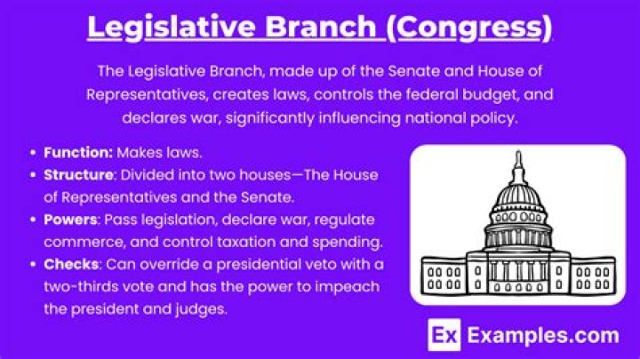 What the legislative branch does