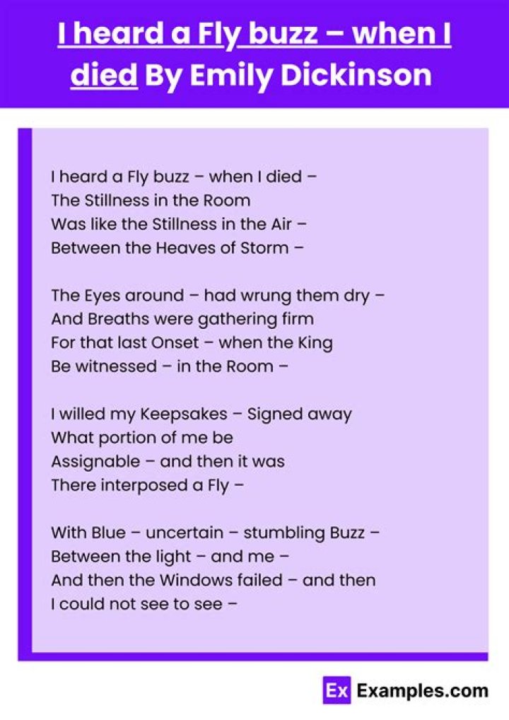 What type of poem is I heard a fly buzz