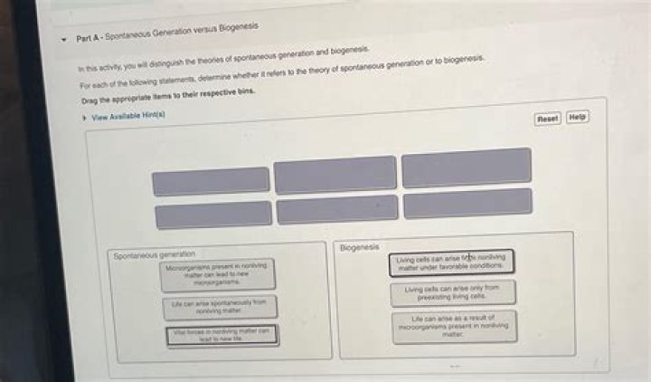 What type of statement describes what an operation wants to become and why it exists