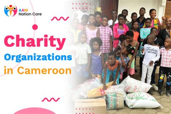 What was the charity organization movement