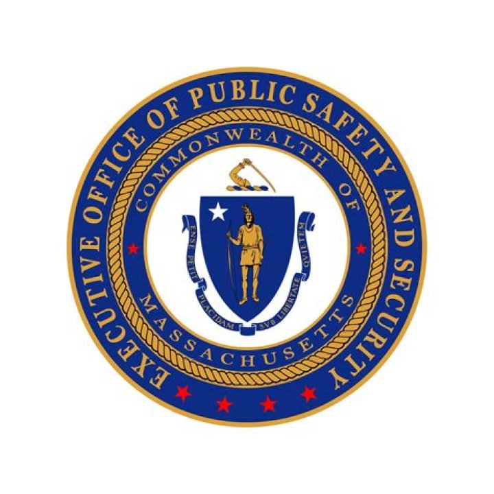 What was the goal of the committee of public safety