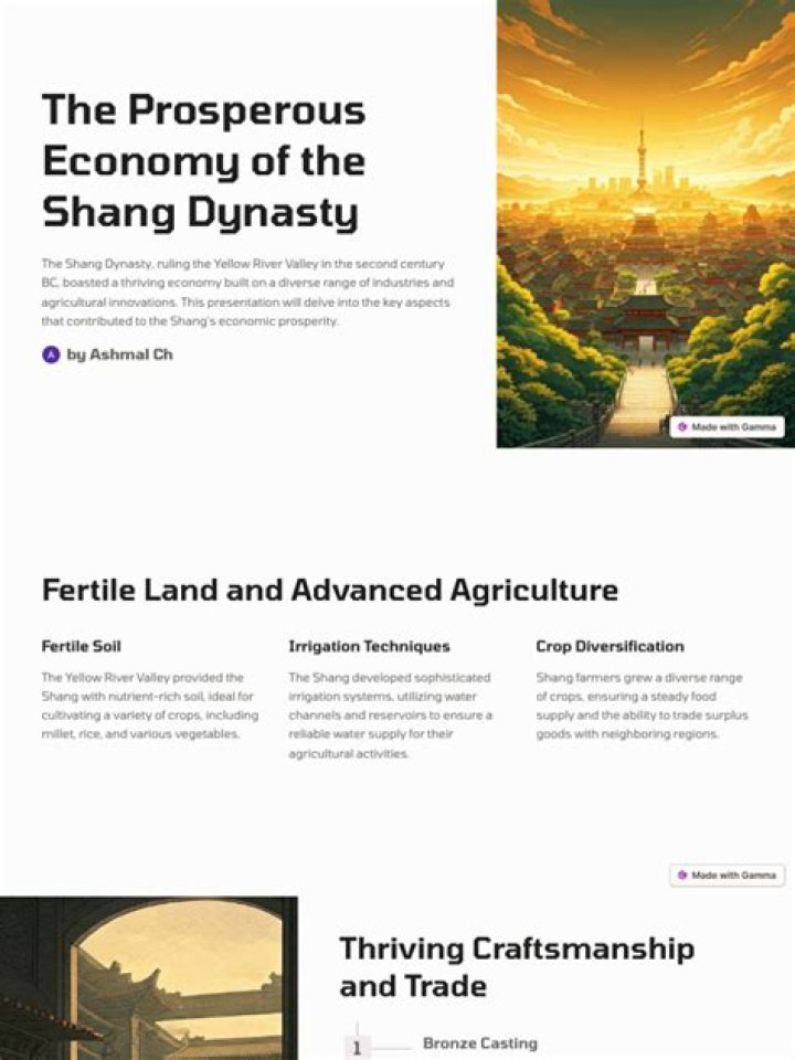 What was the Shang Dynasty economy primarily based on