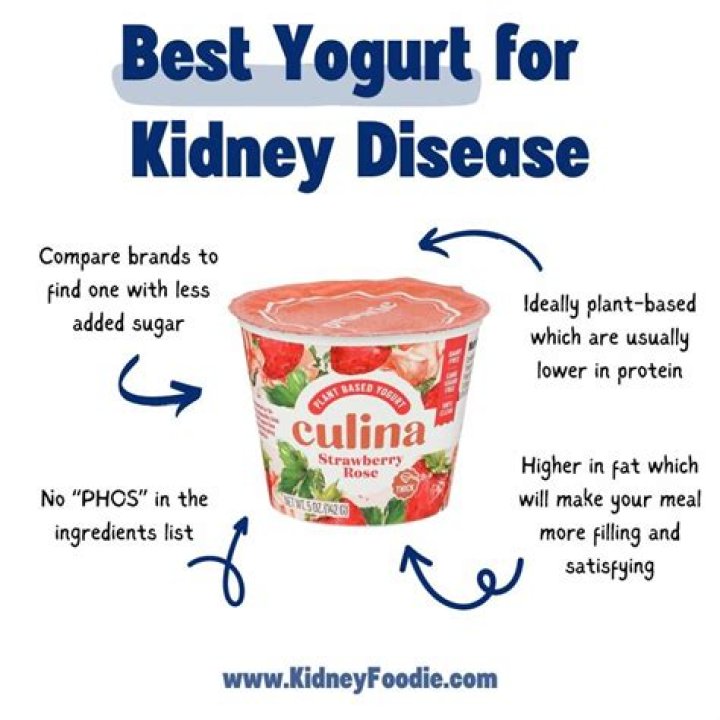 What yogurt is good for kidney disease