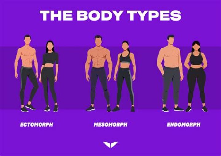 Whats a mesomorph body type