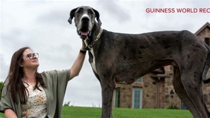 Whats the biggest parish in Ireland