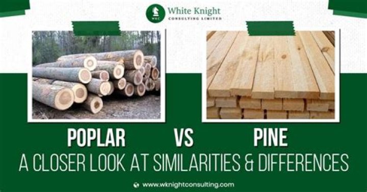 Whats the difference between poplar and pine