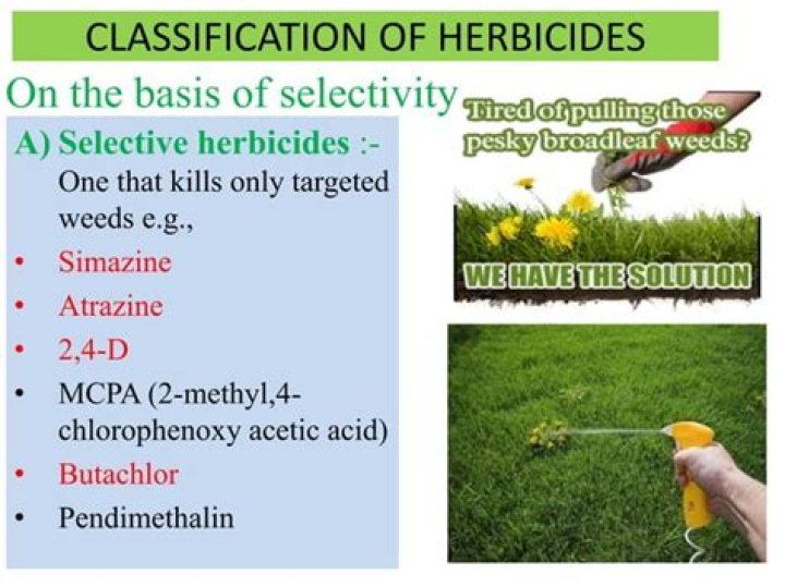 Whats the main difference between a selective and non selective herbicide