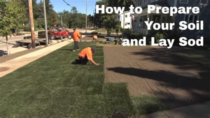 When should you lay sod