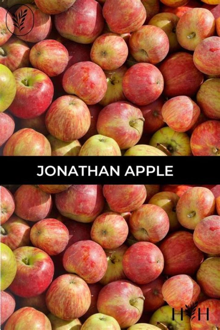 Where do Jonathan apples grow