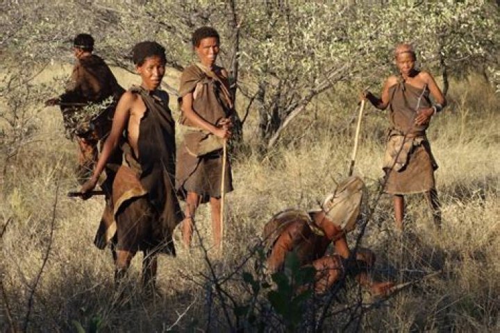 Where do the Bushmen live