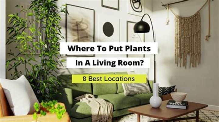 Where should I put plants in my living room