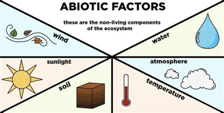 Which are abiotic parts of an ecosystem