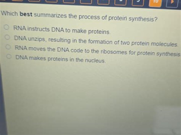 Which best summarizes the process of protein synthesis